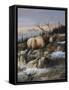 Canvas Black