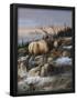Essential Black