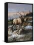 Canvas Black
