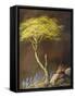 Framed Canvas