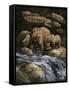 Canvas Black