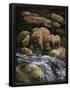 Essential Black