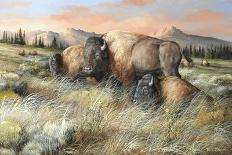 Dusty Cattle Drive-Trevor V. Swanson-Giclee Print