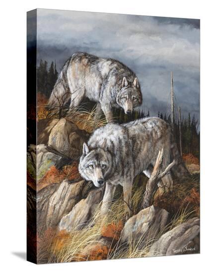 Stretched Canvas Print, , large
