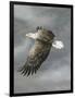 Gramercy Black