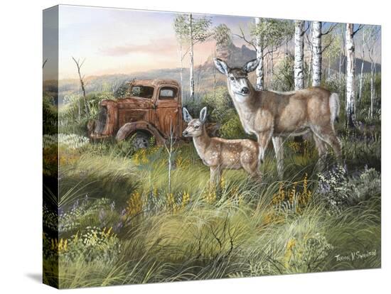 Stretched Canvas Print, , large