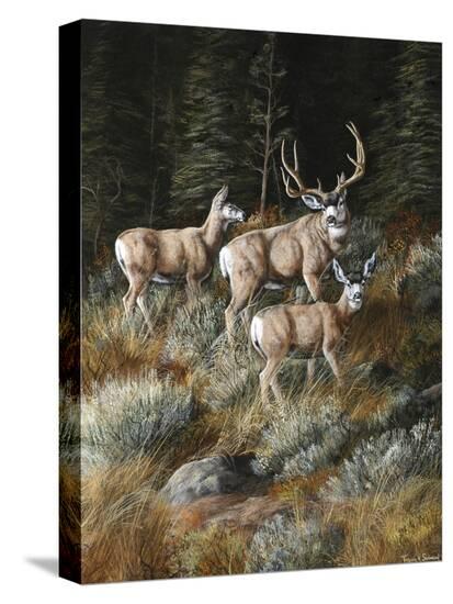 Stretched Canvas Print, , large