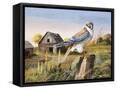 Framed Canvas