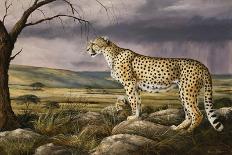 Panther Peak Covey-Trevor V. Swanson-Framed Stretched Canvas