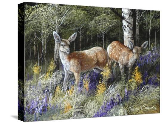 Stretched Canvas Print, , large
