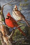 Bobwhite Trio 4-Trevor V. Swanson-Giclee Print