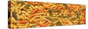 Tri Color Rotini-Steve Gadomski-Stretched Canvas