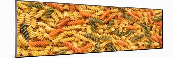 Tri Color Rotini-Steve Gadomski-Mounted Photographic Print