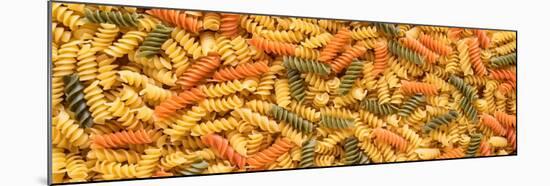 Tri Color Rotini-Steve Gadomski-Mounted Photographic Print