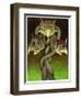 Tri Nod-Wayne Anderson-Framed Giclee Print