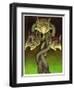 Tri Nod-Wayne Anderson-Framed Giclee Print