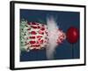 Tri Radish Destruction-Alan Sailer-Framed Photographic Print