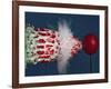 Tri Radish Destruction-Alan Sailer-Framed Photographic Print