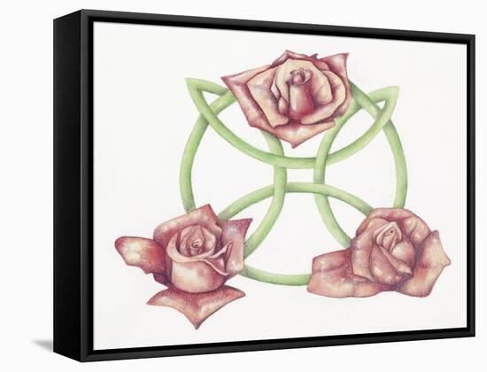 Tri-Rose-Deborah Kopka-Framed Stretched Canvas