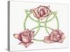 Tri-Rose-Deborah Kopka-Stretched Canvas