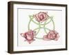 Tri-Rose-Deborah Kopka-Framed Giclee Print