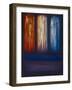 Triadic Optics, 2008-Lee Campbell-Framed Giclee Print