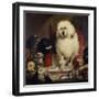 Trial by Jury, or Laying Down the Law, C.1840-Edwin Henry Landseer-Framed Giclee Print