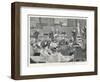 Trial in the Divorce Court London: Cross-Examining a Witness-J. Barnard Davis-Framed Art Print