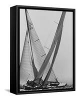 Trial Race For the America's Cup-George Silk-Framed Stretched Canvas