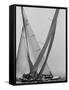 Trial Race For the America's Cup-George Silk-Framed Stretched Canvas