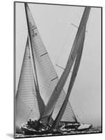 Trial Race For the America's Cup-George Silk-Mounted Premium Photographic Print