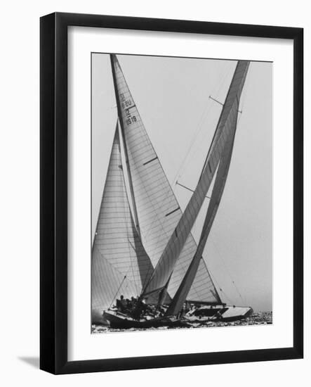 Trial Race For the America's Cup-George Silk-Framed Photographic Print