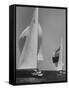 Trial Race For the America's Cup-George Silk-Framed Stretched Canvas