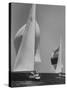 Trial Race For the America's Cup-George Silk-Stretched Canvas