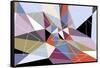 Triangle 1-LXXI-Fernando Palma-Framed Stretched Canvas