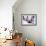 Triangle 3-LXXIII-Fernando Palma-Framed Giclee Print displayed on a wall