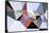 Triangle 3-LXXIII-Fernando Palma-Framed Stretched Canvas