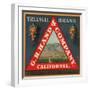 Triangle Brand - California - Citrus Crate Label-Lantern Press-Framed Art Print