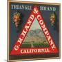 Triangle Brand - California - Citrus Crate Label-Lantern Press-Mounted Art Print