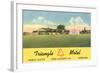 Triangle Motel, North Platte, Nebraska-null-Framed Art Print