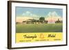 Triangle Motel, North Platte, Nebraska-null-Framed Art Print