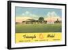 Triangle Motel, North Platte, Nebraska-null-Framed Art Print