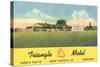 Triangle Motel, North Platte, Nebraska-null-Stretched Canvas