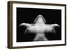 Triangle-Wunderskatz-Framed Premium Photographic Print