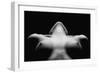 Triangle-Wunderskatz-Framed Premium Photographic Print