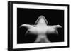 Triangle-Wunderskatz-Framed Photographic Print