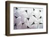 Triangulation 1-Linda Wride-Framed Photographic Print