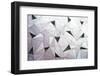 Triangulation 1-Linda Wride-Framed Photographic Print