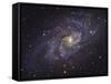 Triangulum Galaxy-Stocktrek Images-Framed Stretched Canvas
