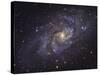 Triangulum Galaxy-Stocktrek Images-Stretched Canvas